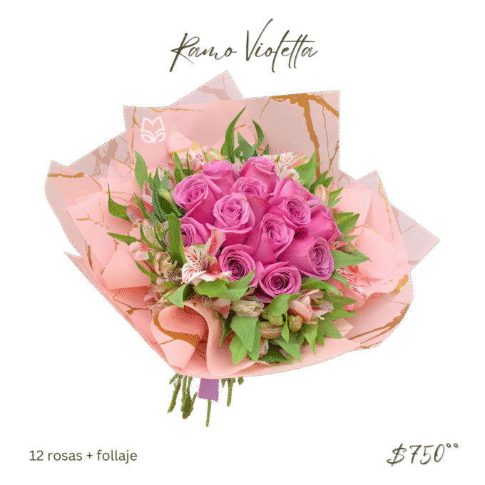 Ramo Violetta