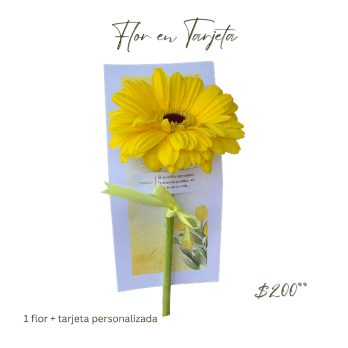 Flor en Tarjeta